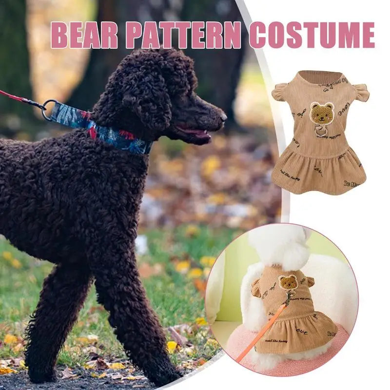 Vestido para cães.